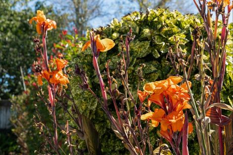 Photo of property in 40 Humber Crescent, Gate Pa, Tauranga, 3112