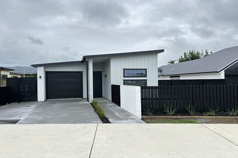 Photo of property in 87 Dunlop Road, Te Puke, 3119