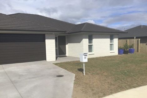 Photo of property in 79 Bert Wall Drive, Omokoroa, 3114