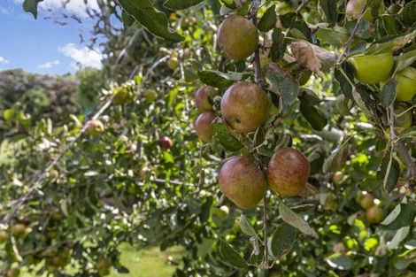Photo of property in 67 Brown Road, Brixton, Waitara, 4382