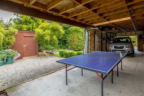 Photo of property in 672g Te Whiti Road, Te Whiti, Masterton, 5884
