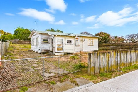 Photo of property in 8 Montgomery Street, Levin, 5510