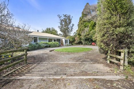 Photo of property in 352 Jeffersons Line, Marton, 4788