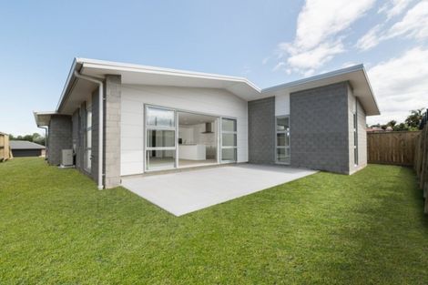 Photo of property in 24 Mulgan Street, Katikati, 3129