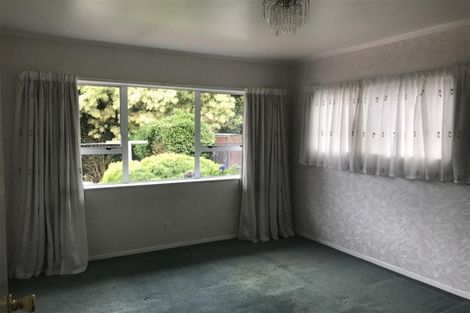 Photo of property in 185 Walter Strevens Drive, Conifer Grove, Takanini, 2112