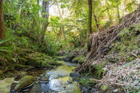 Photo of property in 1220f Te Rerenga Kuaotunu Road, Kuaotunu West, Whitianga, 3592