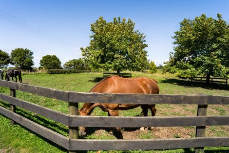 Photo of property in 88 Te Arei Road, Lepperton, New Plymouth, 4373