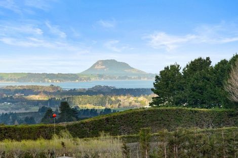 Photo of property in 348g Rea Road, Tahawai, Katikati, 3178