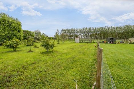 Photo of property in 71 Whelans Road, Levin, 5571