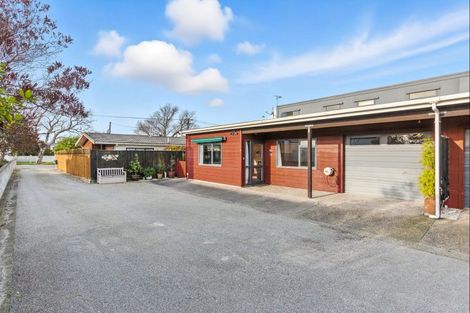 Photo of property in 41a Keepa Street, Levin, 5510