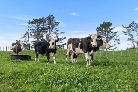 Photo of property in 101 Russek Road, Waiotira, 0193