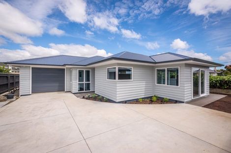 Photo of property in 93a Bartholomew Road, Levin, 5510