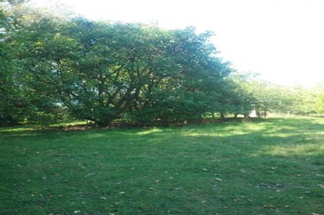 Photo of property in 88 Mark Road, Te Puke, 3188