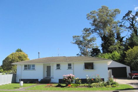 Photo of property in 53 Lawrence Place, Outer Kaiti, Gisborne, 4010
