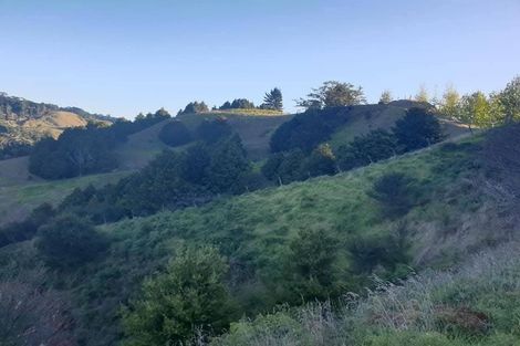 Photo of property in 80 Tunnel Road, Puhoi, Warkworth, 0994