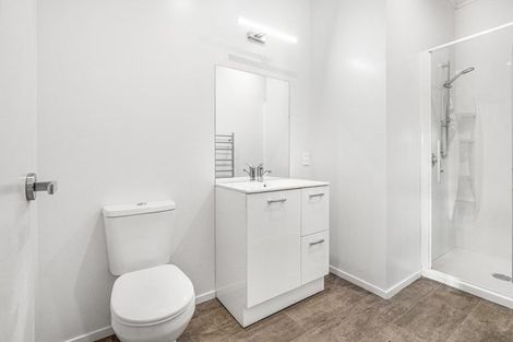 Photo of property in 66a Storey Avenue, Forest Lake, Hamilton, 3200