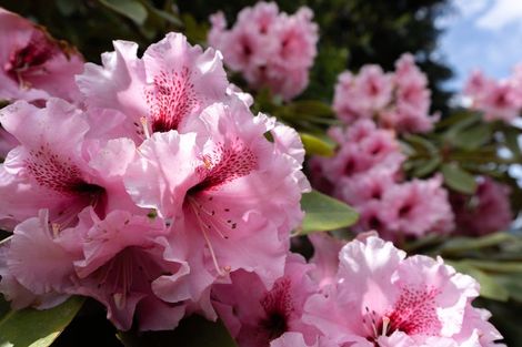 Photo of property in 1b Kereru Bend, Tawa, Wellington, 5028