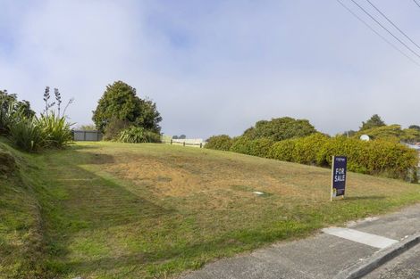Photo of property in 21 Kauri Street, Mangakino, 3421