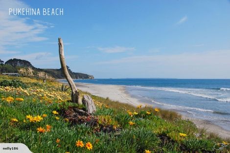 Photo of property in 51 Nanric Lane, Pukehina, Te Puke, 3186