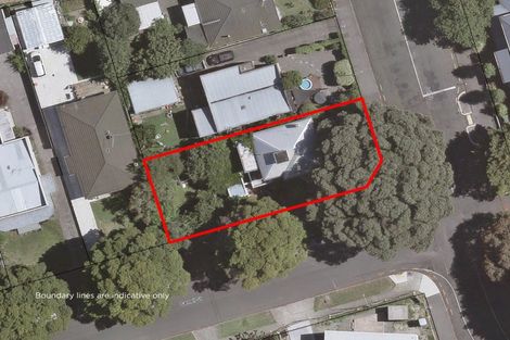 Photo of property in 2 Carnell Street, Napier South, Napier, 4110