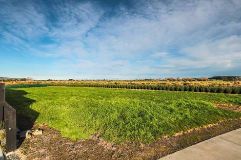 Photo of property in 41 Kaitorete Drive, Lincoln, 7608