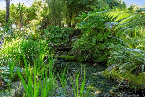 Photo of property in 55 Brecon Road S, Stratford, 4332