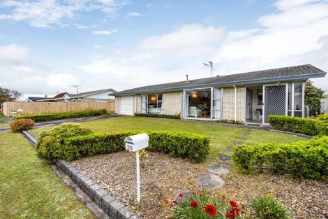 Photo of property in 28 Winstone Avenue, Chartwell, Hamilton, 3210