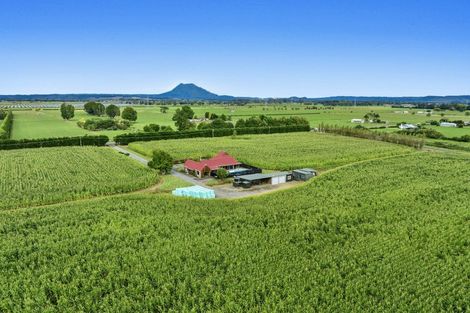 Photo of property in 164 Otakiri Road, Edgecumbe, Whakatane, 3192