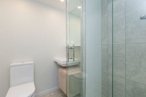 Photo of property in Vsp South, 502/166 Victoria Street, Te Aro, Wellington, 6011