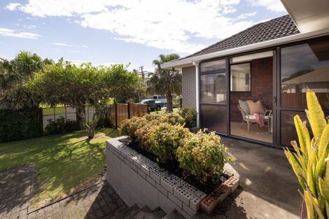 Photo of property in 226a Valley Road, Mount Maunganui, 3116