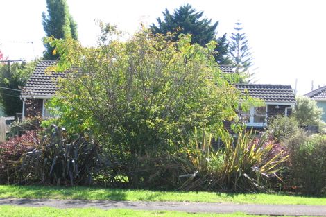 Photo of property in 67 Routley Drive, Glen Eden, Auckland, 0602