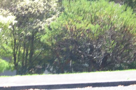 Photo of property in 183 Manuka Road, Bayview, Auckland, 0629