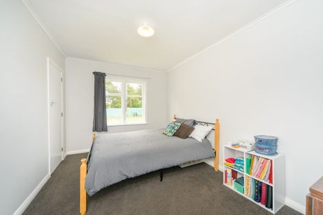 Photo of property in 20 Seddon Street, Takaro, Palmerston North, 4412