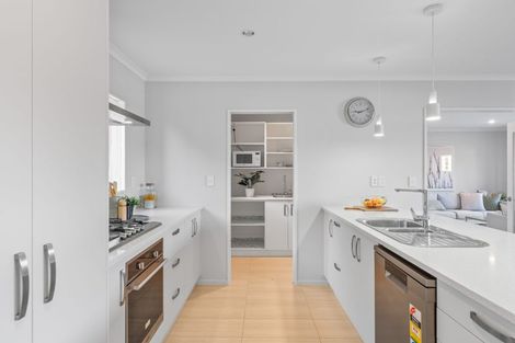 Photo of property in 71 Grenada Drive, Grenada Village, Wellington, 6037