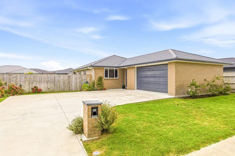 Photo of property in 63 Tawhero Street, Gonville, Whanganui, 4501