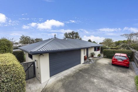 Photo of property in 11 Welsh Place, Richmond, 7020