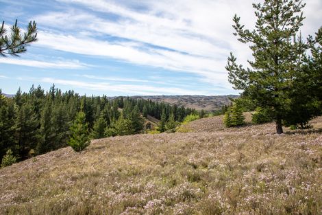 Photo of property in 92a Gilligans Gully Road, Alexandra, 9320