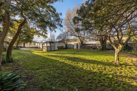Photo of property in 49 Leeds Street, Milson, Palmerston North, 4414