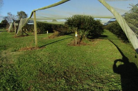 Photo of property in 549a Seddon Road, Gordonton, Hamilton, 3287