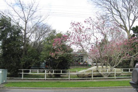 Photo of property in 9 Kawiu Road, Levin, 5510