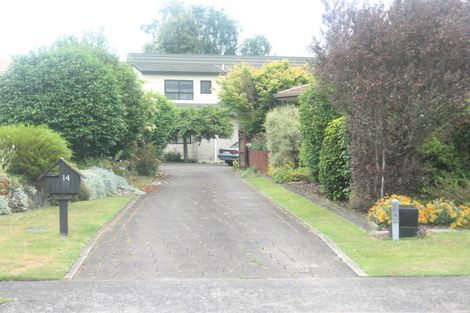 Photo of property in 14 Randell Place, Te Puke, 3119