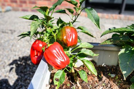 Photo of property in 7 Medallion Court, Kelvin Grove, Palmerston North, 4414