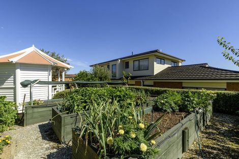 Photo of property in 11 Laing Place, Otumoetai, Tauranga, 3110