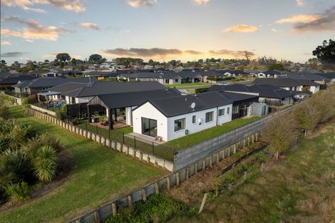 Photo of property in 85 Stark Street, Te Awamutu, 3800