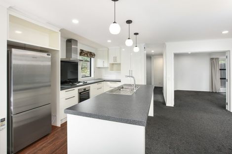 Photo of property in 43b Duncan Street, Dunedin Central, Dunedin, 9016