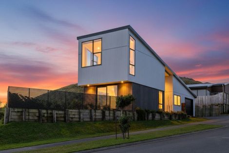 Photo of property in 81 Cedarwood Street, Woodridge, Wellington, 6037