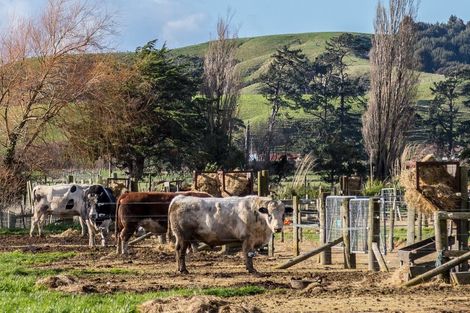 Photo of property in 80541 Masterton Road, Woodville, 4999