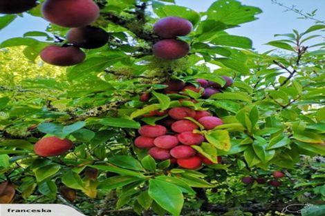 Photo of property in 391 Kaipara Coast Highway, Helensville, Kaukapakapa, 0871