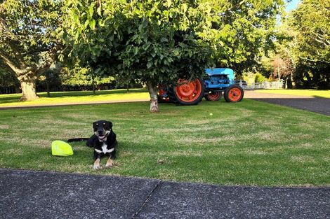 Photo of property in 1680 Tiki Sh25 Road, Preece Point, Coromandel, 3506