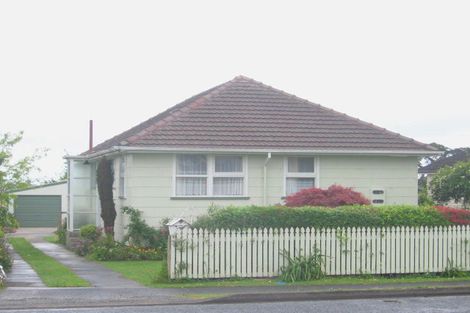 Photo of property in 88 Thames Road, Paeroa, 3600
